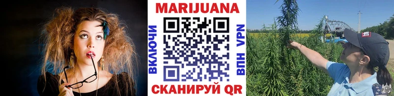 Бошки марихуана сатива  как найти закладки  Ипатово 